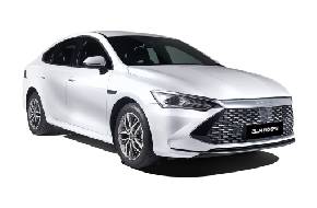 LoongCentury autorent: Almatõ lennujaam Muud tüüpi