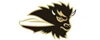 BISON AUTO logo