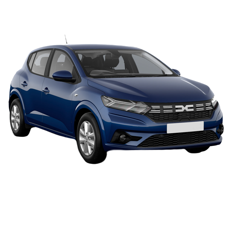 Dacia Sandero Manual от Flexways 