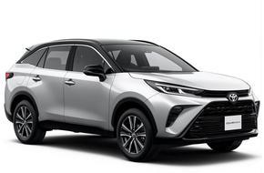 IX Rental autorent: Tokyo Narita lennujaam Muud tüüpi