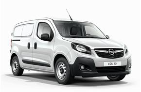 Alpha w Lotnisko Coolangatta Gold Coast (OOL) Van
