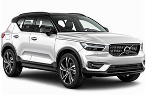 Ilha Verde autorent Ponta Delgada kesklinn Muud tüüpi