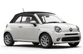 DrivingMadeira Car Rental in Madeira Funchal Airport (FNC) Other type