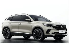 CarWiz auto noma Džordža lidosta (GRJ) Cits tips