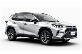 Аренда авто XDrive Mobility в Международный аэропорт Камузу (LLW) Другой тип